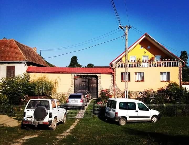 Casa Florilor Barcut Apartment Exterior photo