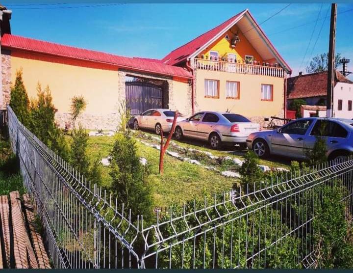 Casa Florilor Barcut Apartment Exterior photo