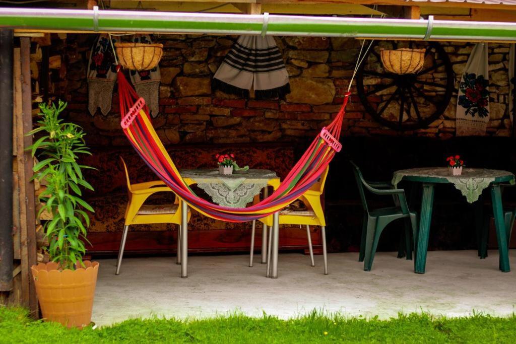 Casa Florilor Barcut Apartment Exterior photo