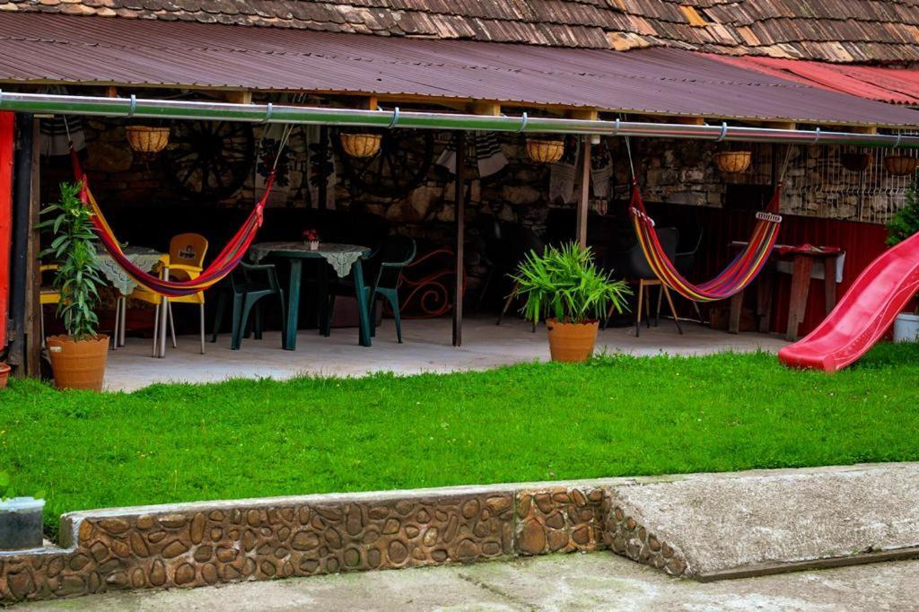 Casa Florilor Barcut Apartment Exterior photo