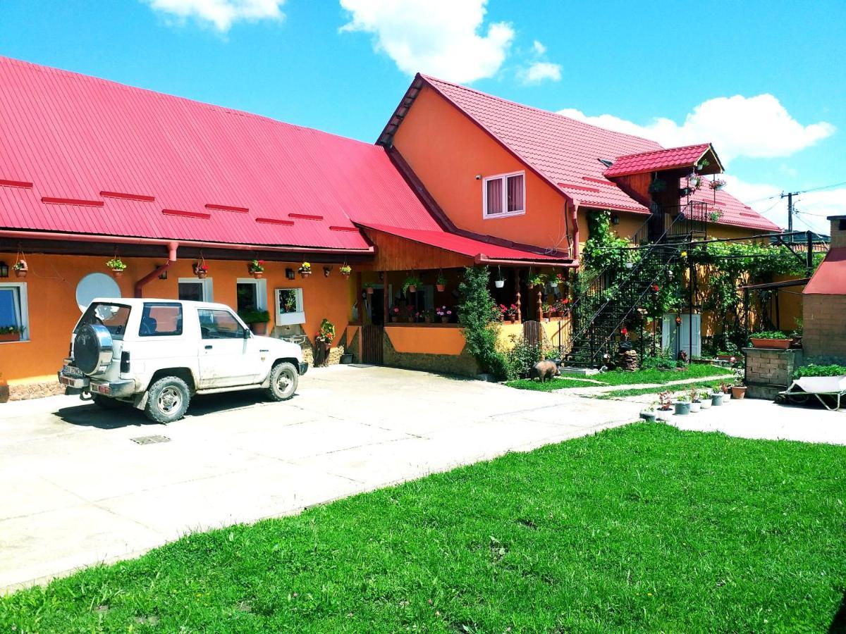 Casa Florilor Barcut Apartment Exterior photo