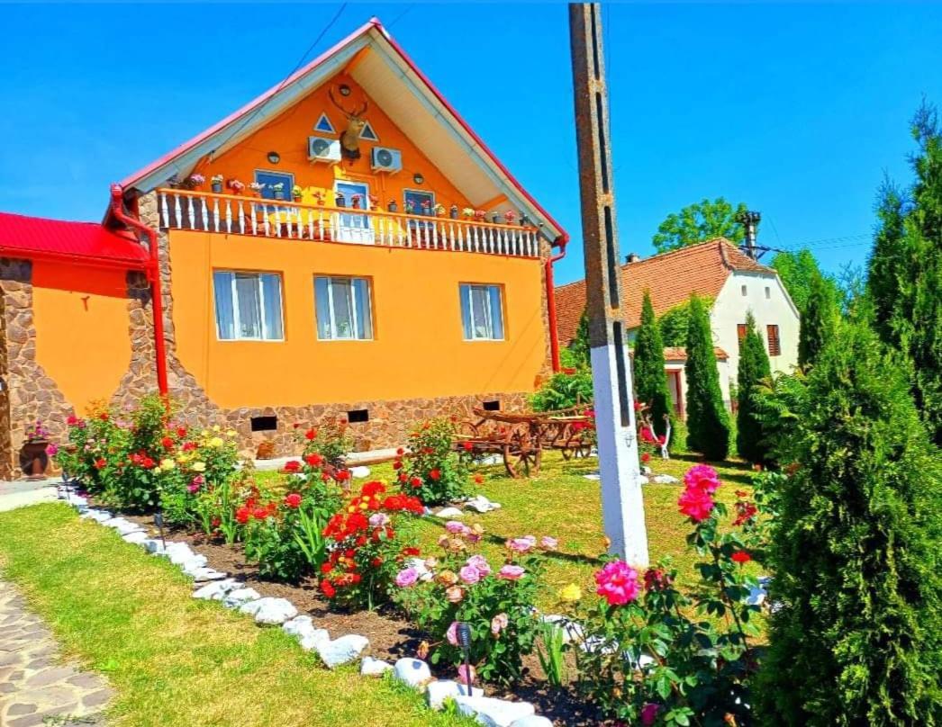 Casa Florilor Barcut Apartment Exterior photo